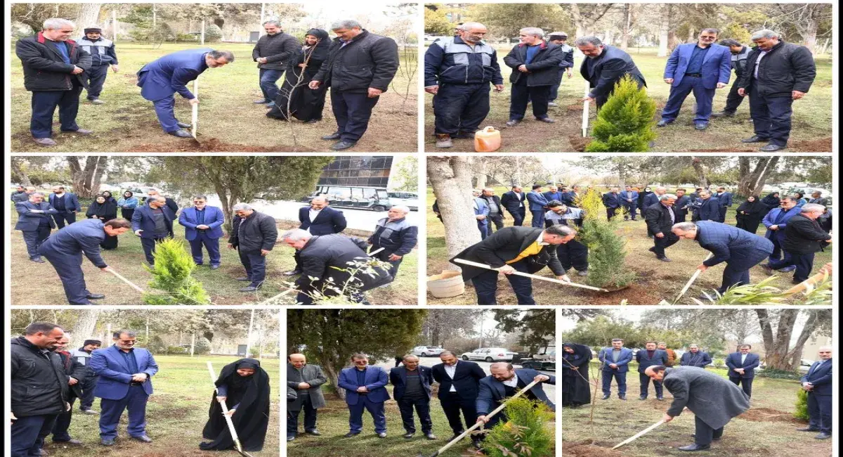 Arbor Day ceremony held at the permanent site of Tehran International Exhibitions 1 برگزاری مراسم روز درخت کاری در محل دائمی نمایشگاه های بین المللی تهران Arbor Day ceremony
